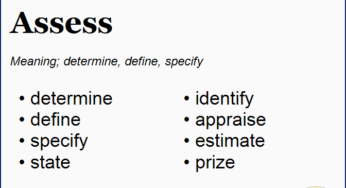 Another Word For Assess Archives English Vocabs