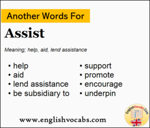 another word for assist resume