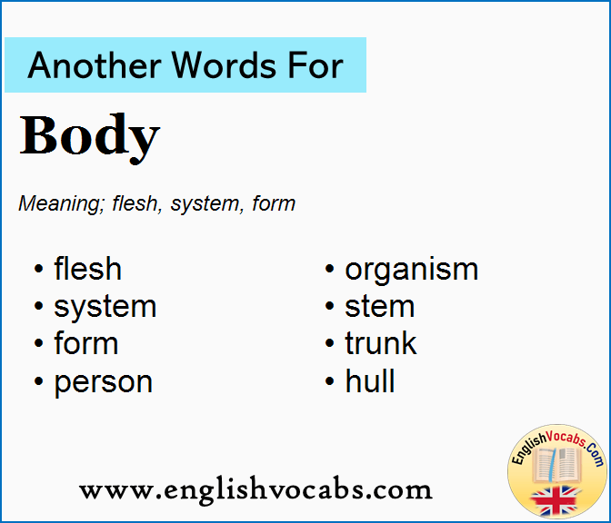Another word for Body, What is another word Body
