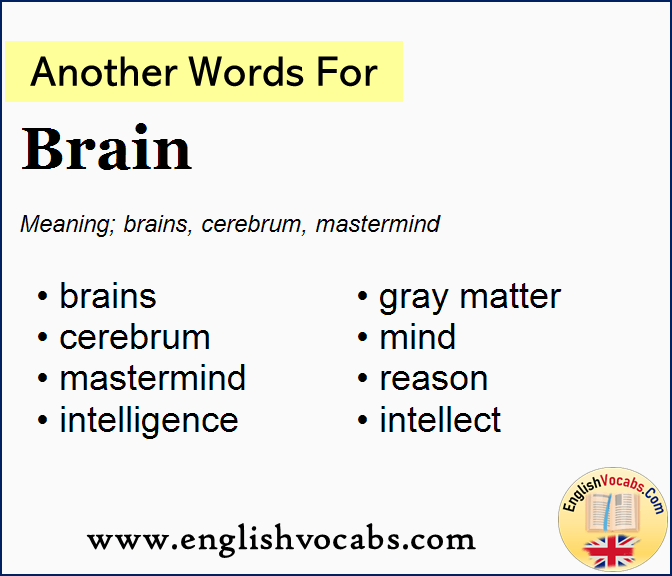 Another word for Brain, What is another word Brain