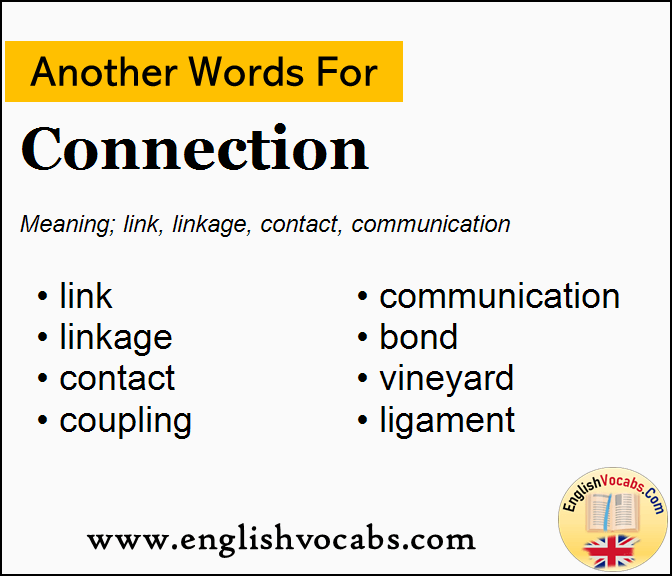 Another word for Connection, What is another word Connection