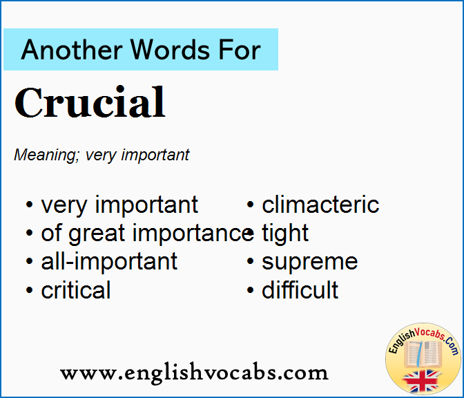 Another Word For Crucial What Is Another Word Crucial English Vocabs