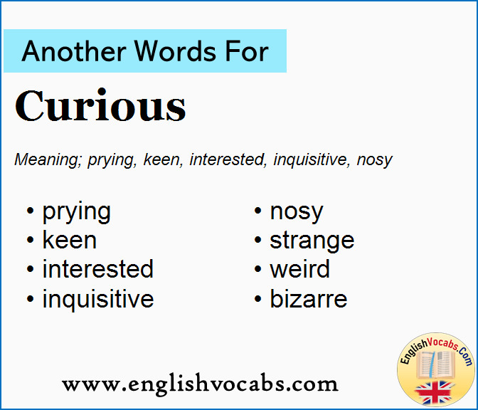 Another Word For Curious What Is Another Word Curious English Vocabs