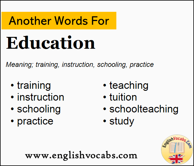 Another word for Education, What is another word Education