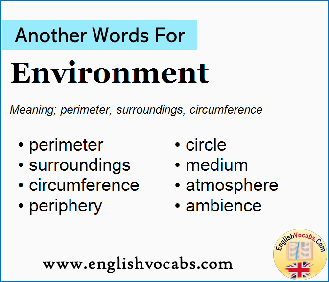 Another word for Environment, What is another word Environment