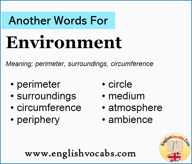  Another Word For Environment What Is Another Word Environment 