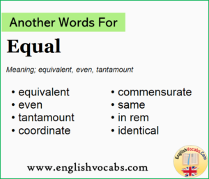 essay equal word