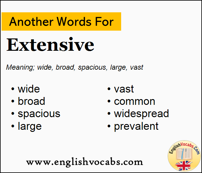 Another word for Extensive, What is another word Extensive