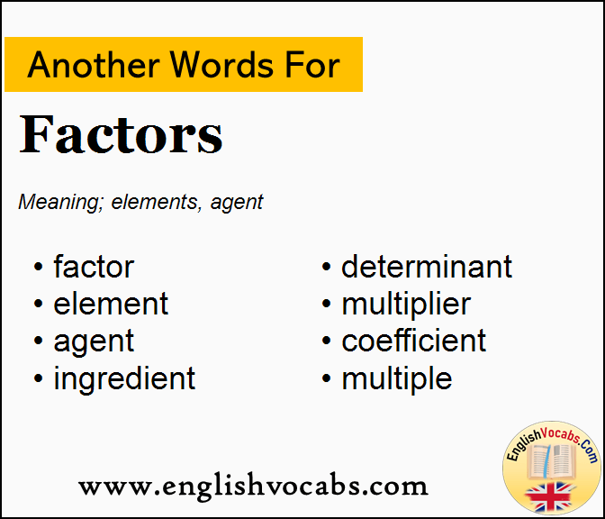 Another word for Factors, What is another word Factors