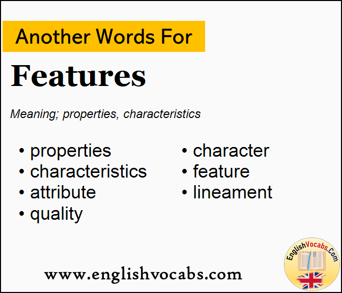  Another Word For Features What Is Another Word Features English Vocabs