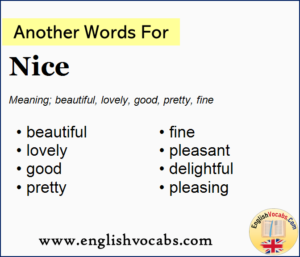 another word for nice essay