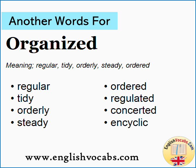 Another word for Organized, What is another word Organized