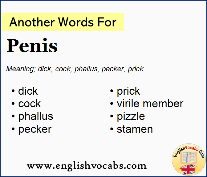 Another word for Penis, What is another word Penis