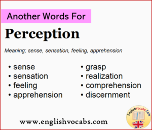 another word for speech perception