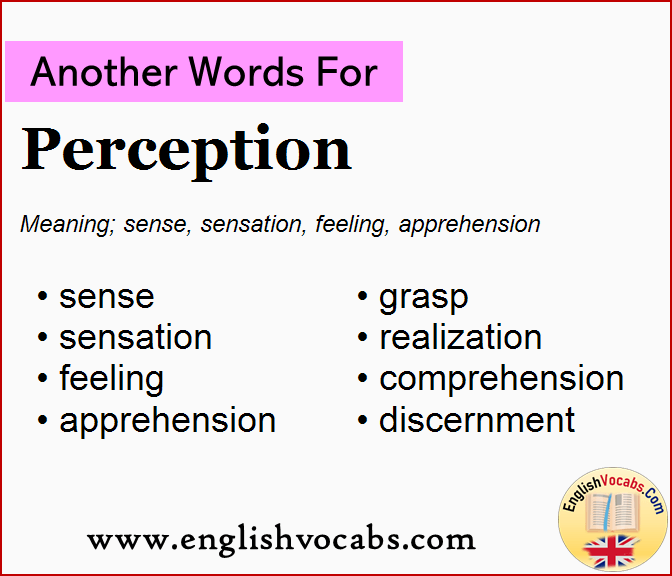 Another word for Perception, What is another word Perception