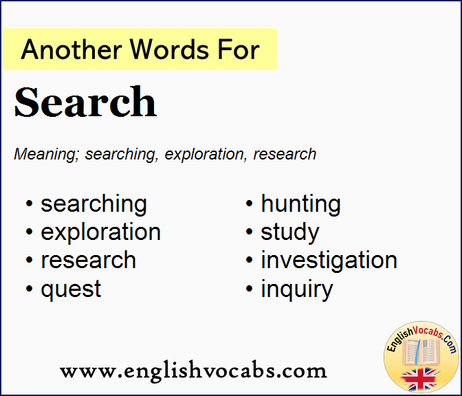 Another word for Search, What is another word Search