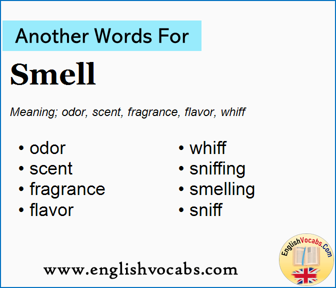 Another Word For Smell What Is Another Word Smell English Vocabs