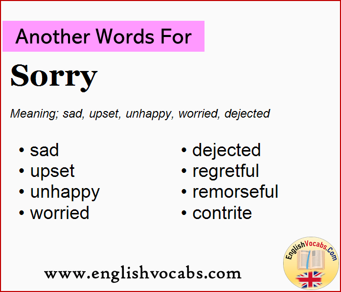 Another word for Sorry, What is another word Sorry