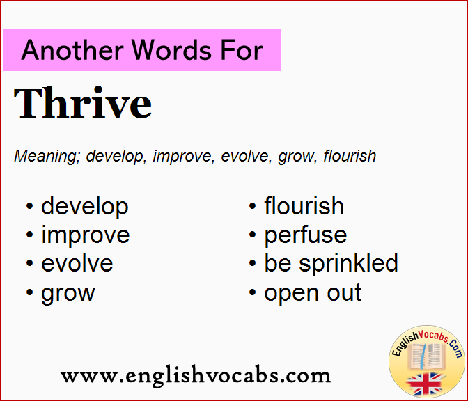 Another word for Thrive, What is another word Thrive