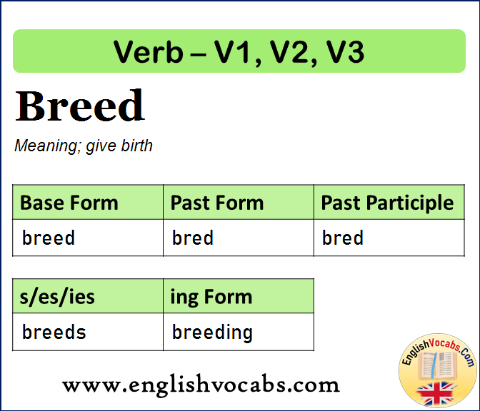 Breed Past Simple, Past Participle, V1 V2 V3 Form of Breed