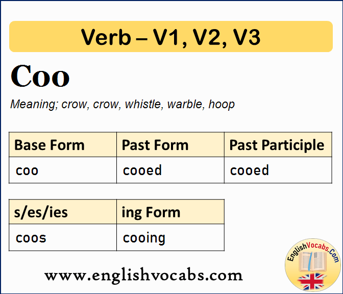 Coo Past Simple, Past Participle, V1 V2 V3 Form of Coo