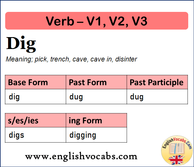 Dig Past Simple, Past Participle, V1 V2 V3 Form of Dig