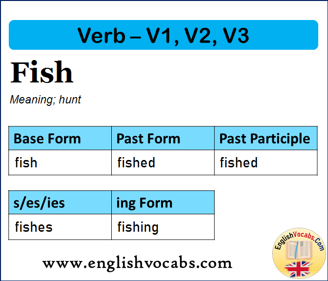 Fish Past Simple, Past Participle, V1 V2 V3 Form of Fish