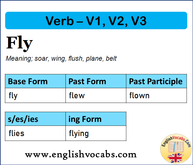 Fly Past Simple, Past Participle, V1 V2 V3 Form of Fly