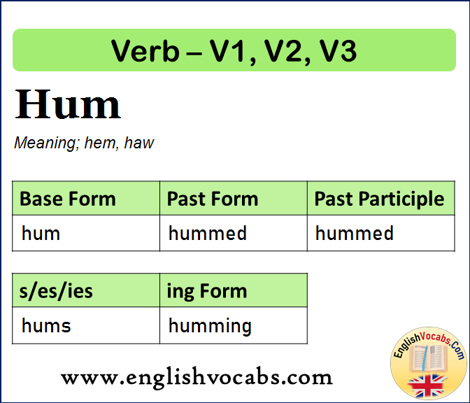 Hum Past Simple, Past Participle, V1 V2 V3 Form of Hum