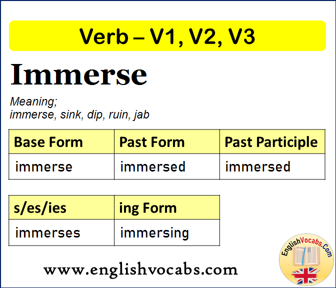Immerse Past Simple, Past Participle, V1 V2 V3 Form of Immerse
