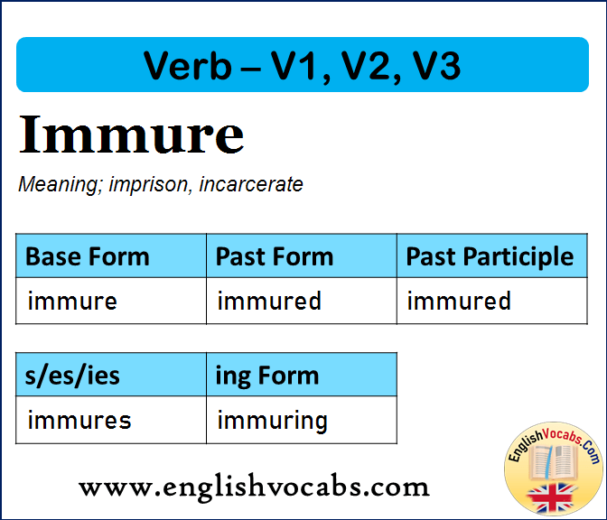 Immure Past Simple, Past Participle, V1 V2 V3 Form of Immure