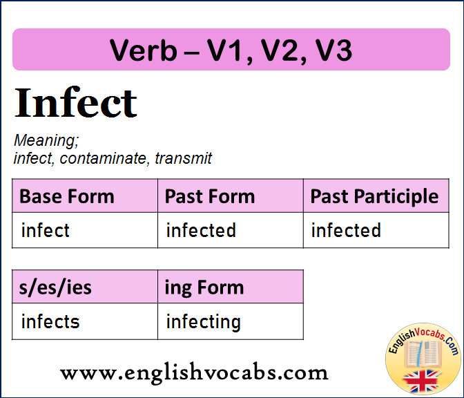 Infect Past Simple, Past Participle, V1 V2 V3 Form of Infect