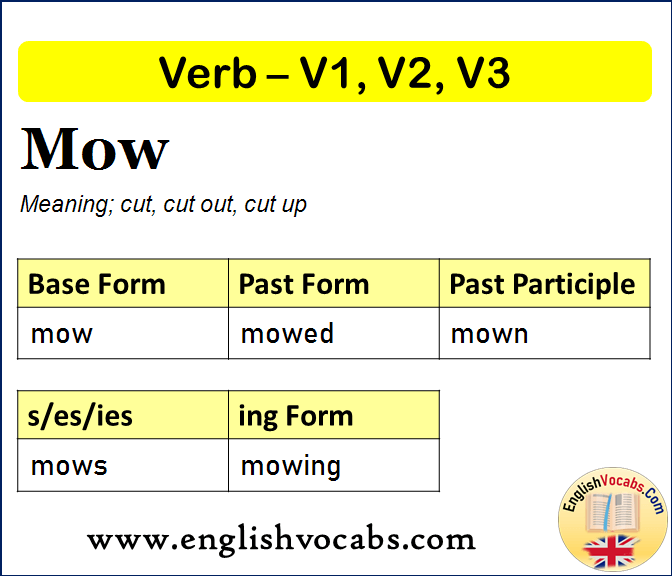 Mow Past Simple, Past Participle, V1 V2 V3 Form of Mow