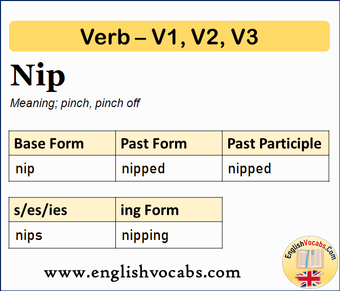 Nip Past Simple, Past Participle, V1 V2 V3 Form of Nip