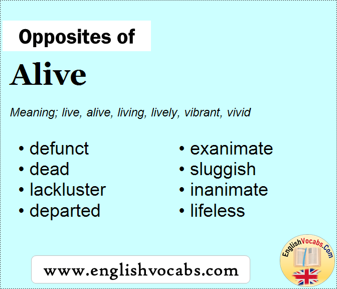 opposite-of-alive-what-is-opposite-antonym-word-alive-english-vocabs