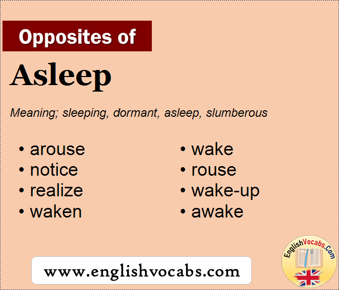 Opposite Of Asleep What Is Opposite Antonym Word Asleep English Vocabs