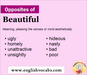 opposite word of beautiful in english