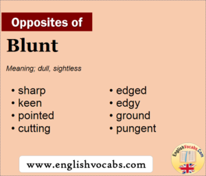 Blunt Meaning