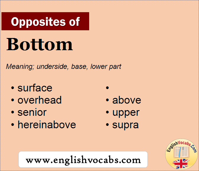 Opposite Of Bottom What Is Opposite Antonym Word Bottom English Vocabs