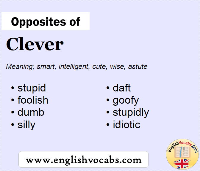 Opposite Of Clever What Is Opposite Antonym Word Clever English Vocabs