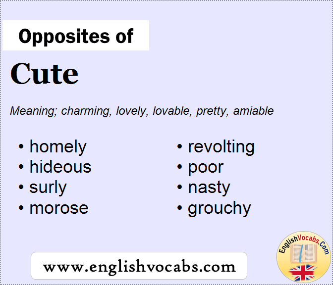 Opposite Of Cute What Is Opposite Antonym Word Cute English Vocabs