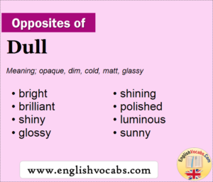 opposite word of dull in english