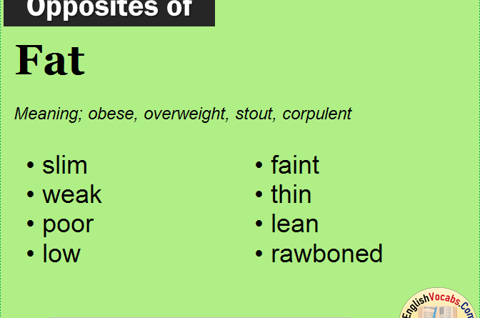 What Is The Opposite Of Thin