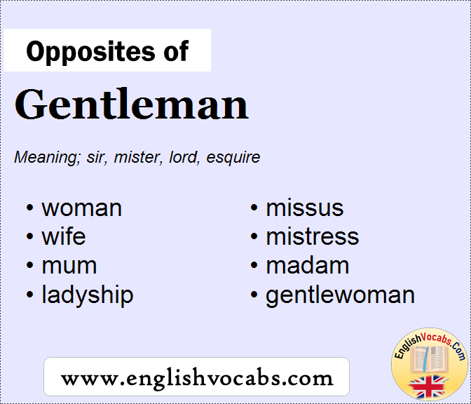Opposite of Gentleman, What is opposite antonym word Gentleman