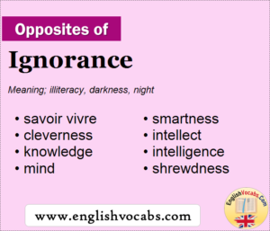 Opposite of Ignorance, What is opposite antonym word Ignorance ...