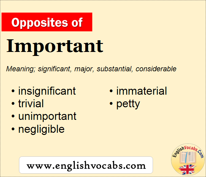  Opposite Of Important What Is Opposite Antonym Word Important 