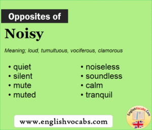 Opposite of Noisy, What is opposite antonym word Noisy - English Vocabs