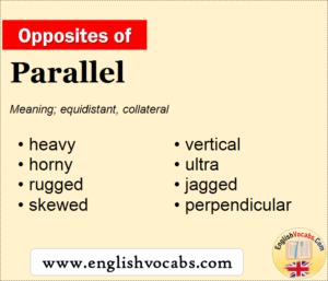 Opposite of Parallel, What is opposite antonym word Parallel - English ...