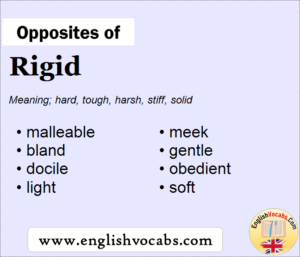 rigid opposite antonym