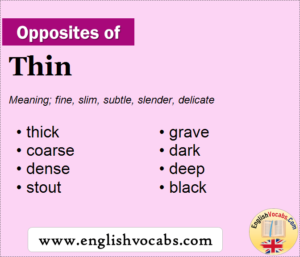 rhyming word of thin in english